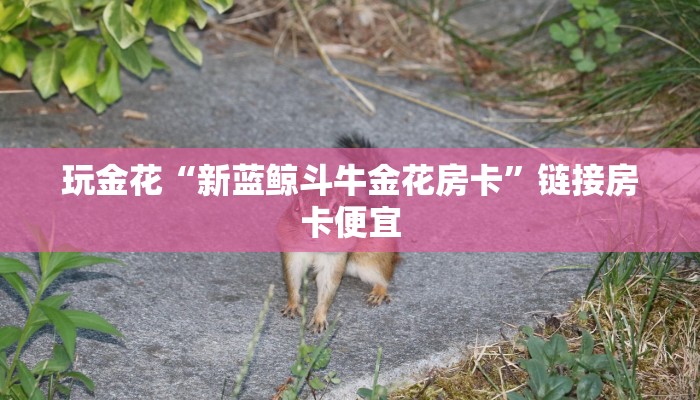 玩金花“新蓝鲸斗牛金花房卡”链接房卡便宜