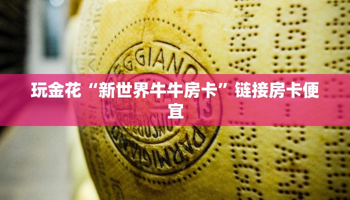 玩家辅助神器德扑之星作弊挂透视辅助软件-辅助软件教程挂 