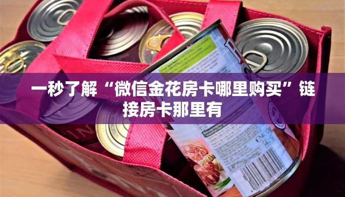 辅助神器wepoker私人局透视详细开挂教程