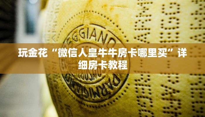 实测辅助wepoker透视辅助器方法!开挂详细教程