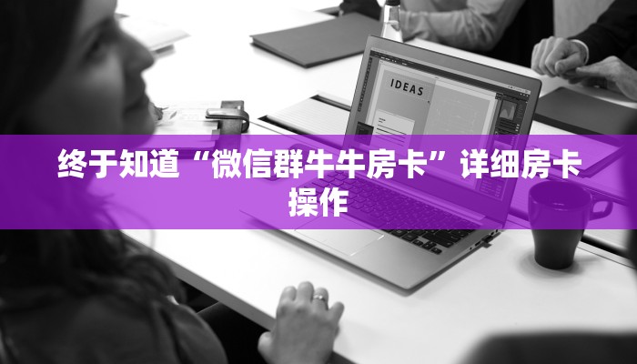 辅助神器AApoker到底有没有透视(作弊)”附开挂脚本详细教学