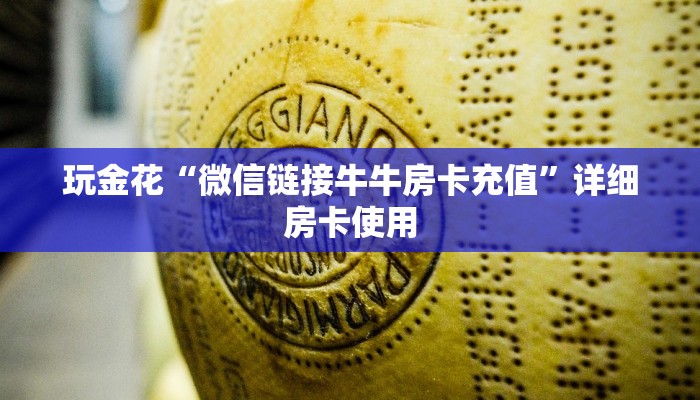 三分钟科普wepoker透视软件在哪买(作弊)”附开挂脚本详细教学