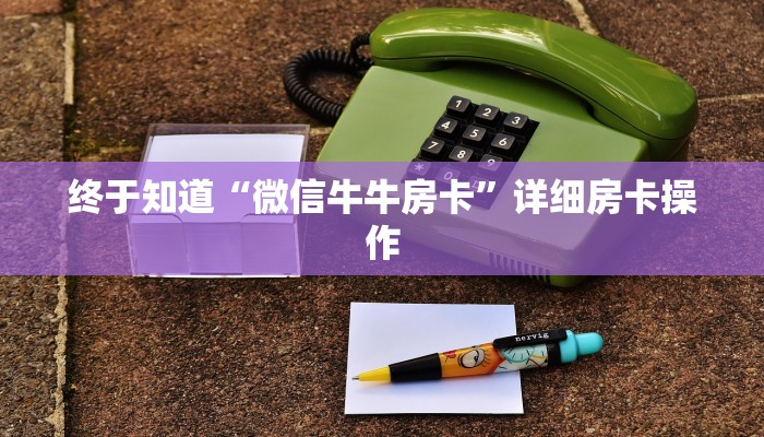 玩家必备德扑之星俱乐部辅助透视软件-最新辅助详细教程