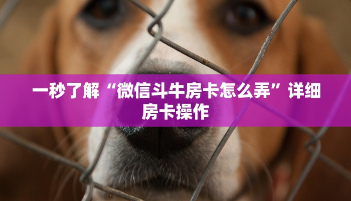 万能开挂辅助“Hhpoker透视挂(作弊)辅助透视教程
