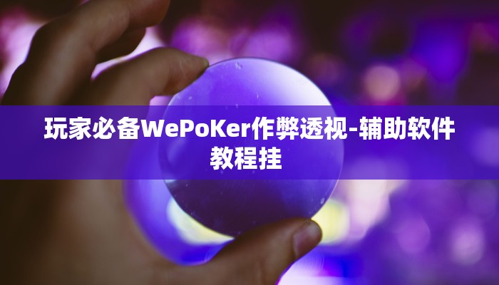 玩家必备WePoKer作弊透视-辅助软件教程挂 