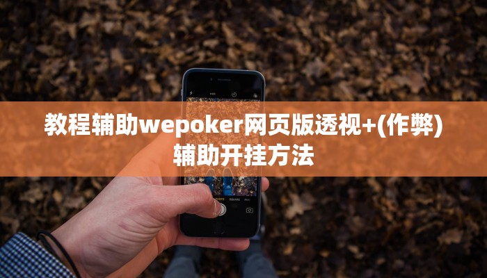 教程辅助wepoker网页版透视+(作弊)辅助开挂方法