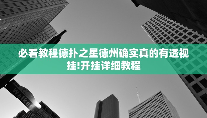 辅助神器“战皇大厅透视软件”(详细开挂教程)-