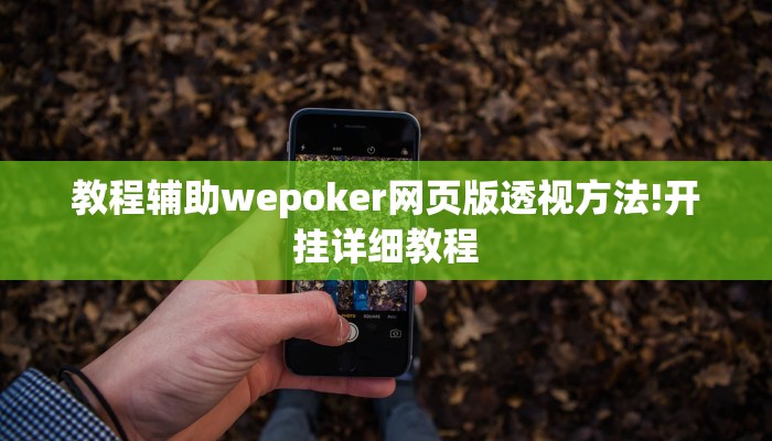 原来才知道wepoker究竟有没有透视(辅助外挂+教程
