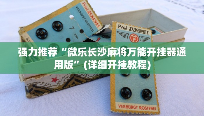 辅助神器wepoKer如何透视(详细开挂教程