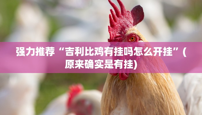 原来才知道wepoker作弊挂详细开挂教程