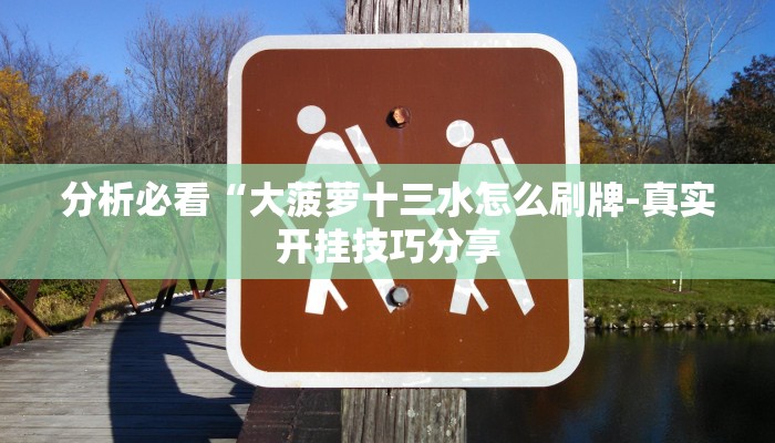 分析必看“大菠萝十三水怎么刷牌-真实开挂技巧分享