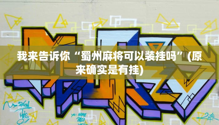我来告诉你“蜀州麻将可以装挂吗”(原来确实是有挂)