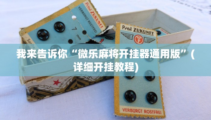 辅助神器wepoker作弊辅助透视挂(透视)详细教程