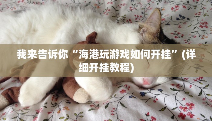 我来告诉你“海港玩游戏如何开挂”(详细开挂教程)