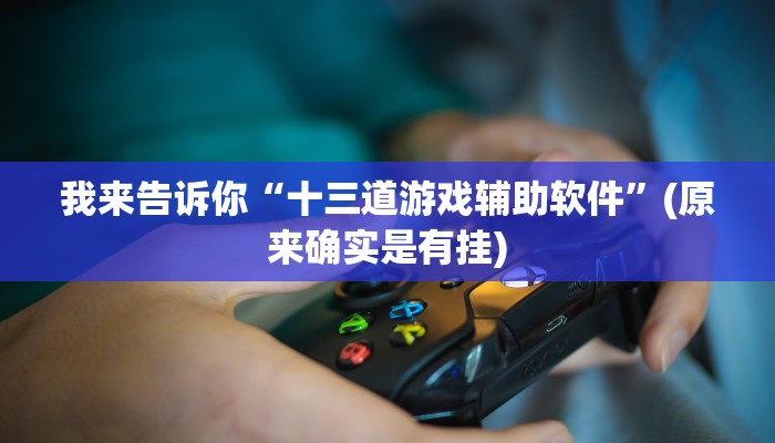 我来告诉你“十三道游戏辅助软件”(原来确实是有挂)