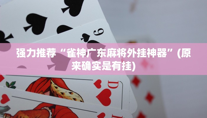 强力推荐“雀神广东麻将外挂神器”(原来确实是有挂)