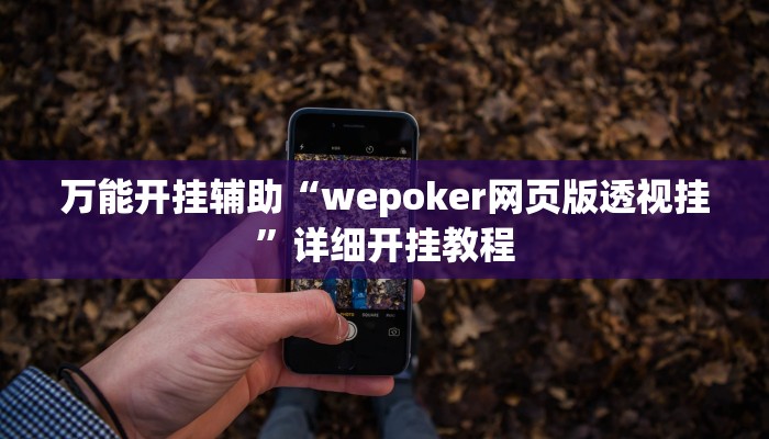 -分钟科普德扑之星辅助挂透视教程(原来真的能开挂)