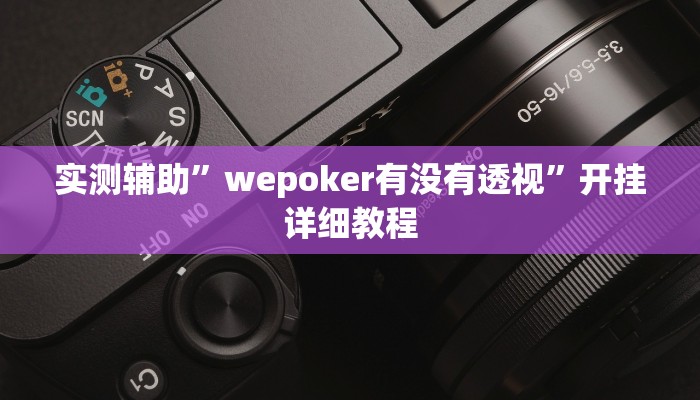 实测辅助”wepoker有没有透视”开挂详细教程