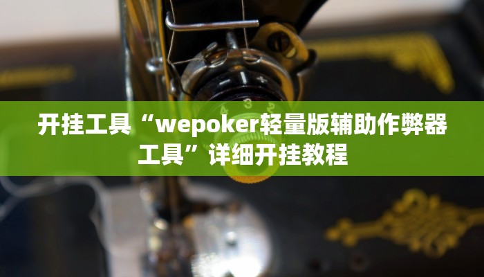 原来才知道德扑之星透视软件骗局(透视)详细教程