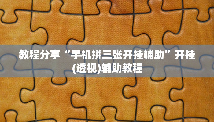 辅助神器AApoker看牌器透视(透视)详细教程
