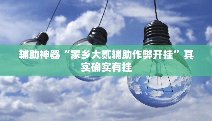 辅助神器“家乡大贰辅助作弊开挂”其实确实有挂