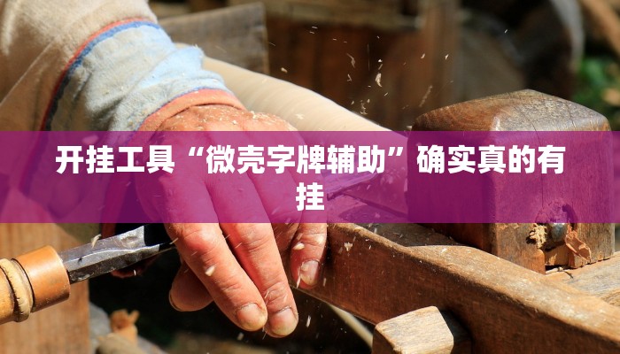 辅助神器wepoKer是不是有透视挂(详细开挂教程