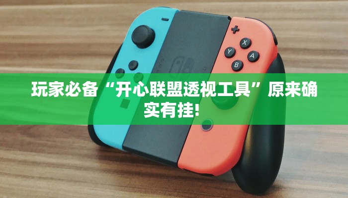 玩家必备“开心联盟透视工具”原来确实有挂! 