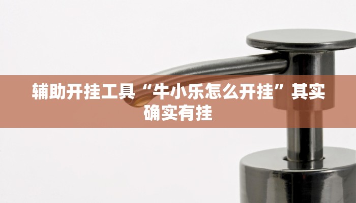 辅助开挂工具“牛小乐怎么开挂”其实确实有挂