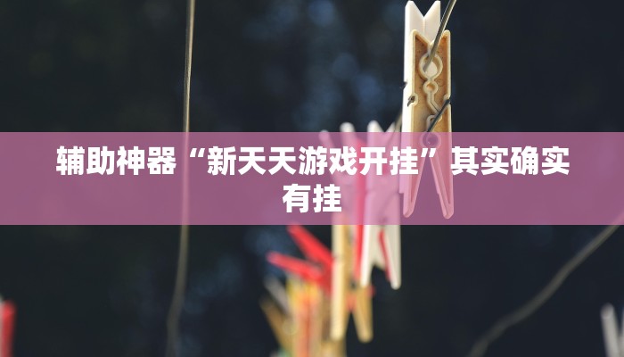 辅助神器“新天天游戏开挂”其实确实有挂