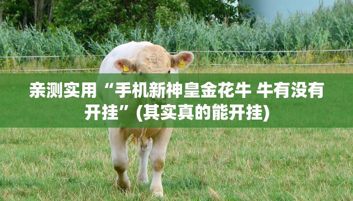玩家技巧“胡乐安庆麻将是有挂吗”分享用挂教程 玩家技巧“胡乐安庆麻将是有挂吗”分享用挂教程