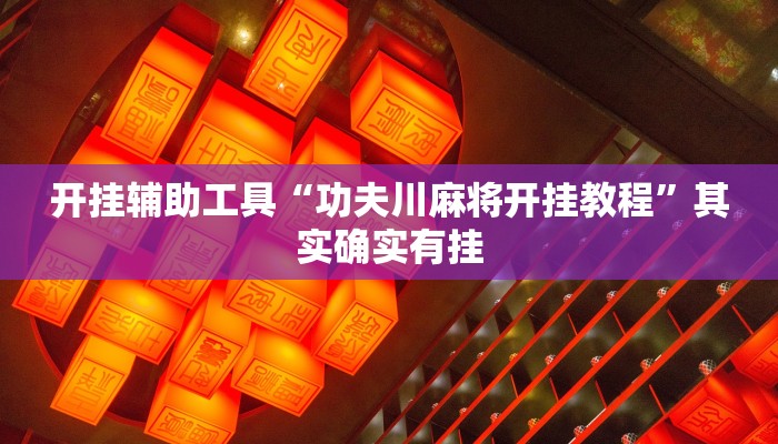 使用分享wepoker作弊辅助软件(透视)详细教程