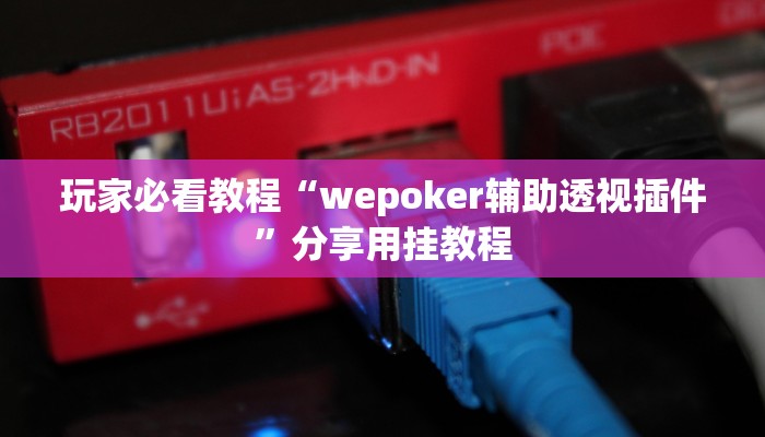 玩家必看教程“wepoker辅助透视插件”分享用挂教程