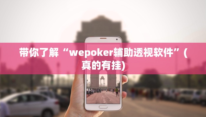 辅助神器wepoker德州作弊辅助(作弊)”附开挂脚本详细教学