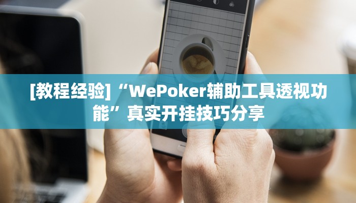 [教程经验]“WePoker辅助工具透视功能”真实开挂技巧分享