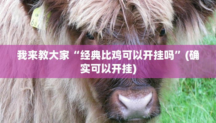 实测辅助“休闲宜丰辅助器开挂软件了”原来确实有挂!