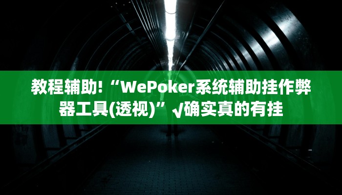 实测辅助ios版wepoker德州透视挂(详细开挂教程