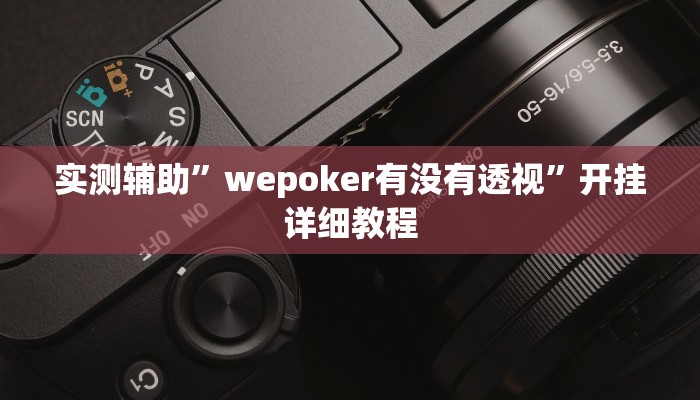 使用分享wepoker轻量版透视挂(辅助外挂+教程