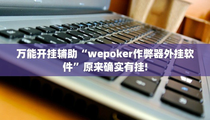 使用分享wepoker轻量版透视挂(原来真的能开挂)