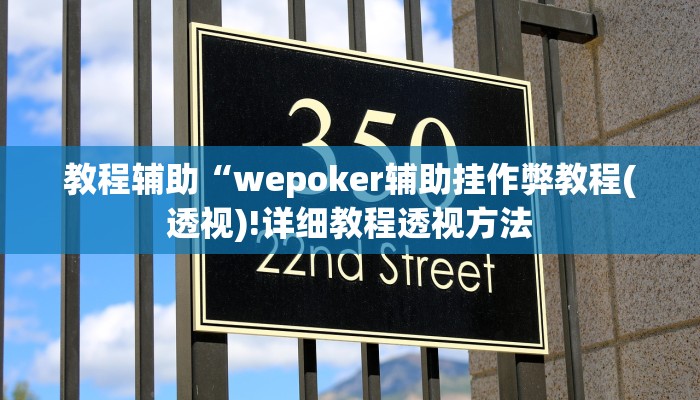 教程辅助“wepoker辅助挂作弊教程(透视)!详细教程透视方法