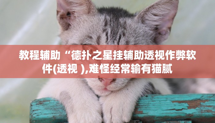 原来才知道wepoker作弊透视挂(辅助外挂+教程