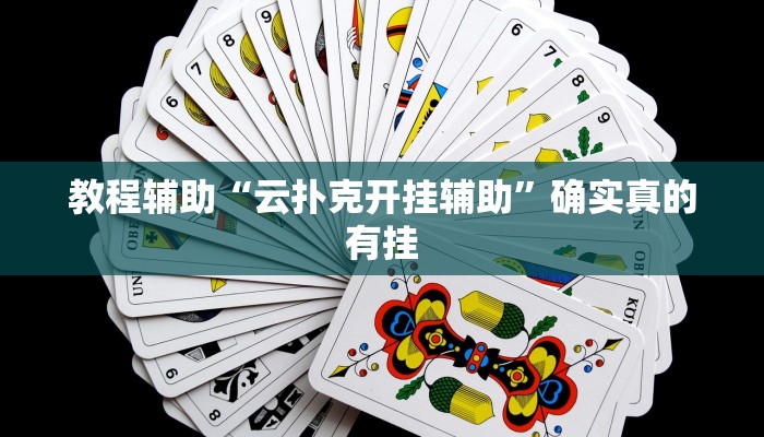 辅助神器wepoKer是不是有透视挂详细开挂教程