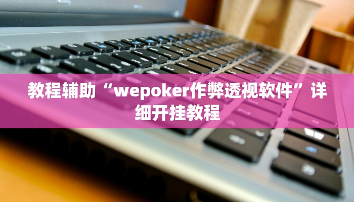 使用分享wepoker德州局透视挂专用(辅助外挂+教程