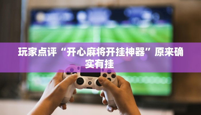 原来才知道德扑之星辅助挂作弊透视方法(透视)详细教程