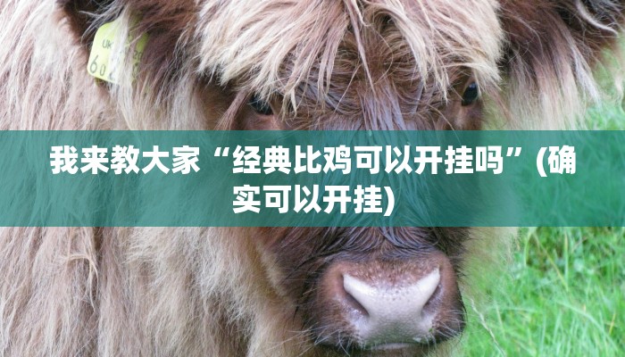 使用分享德扑之星开挂透视方法(辅助外挂+教程
