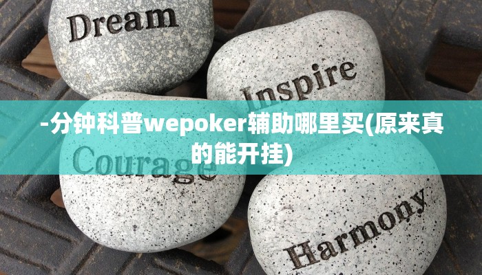 辅助神器德扑之星开挂透视(透视)功能”学会包赢