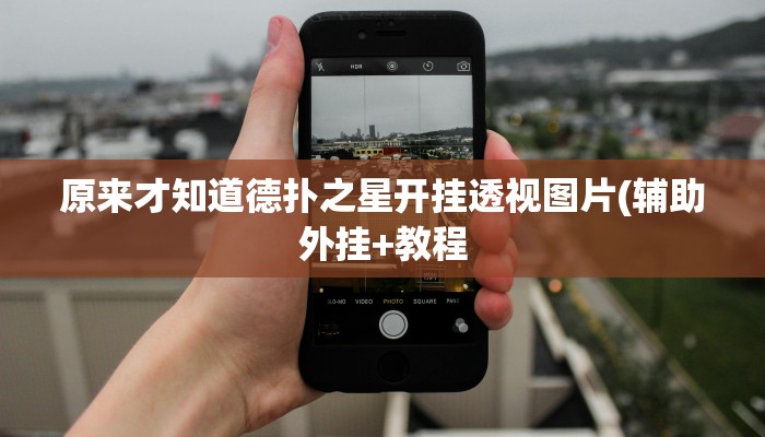 实测辅助wepoker透视辅助(作弊)”附开挂脚本详细教学