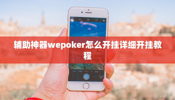 使用分享线上wepoker打法技巧(透视)详细教程