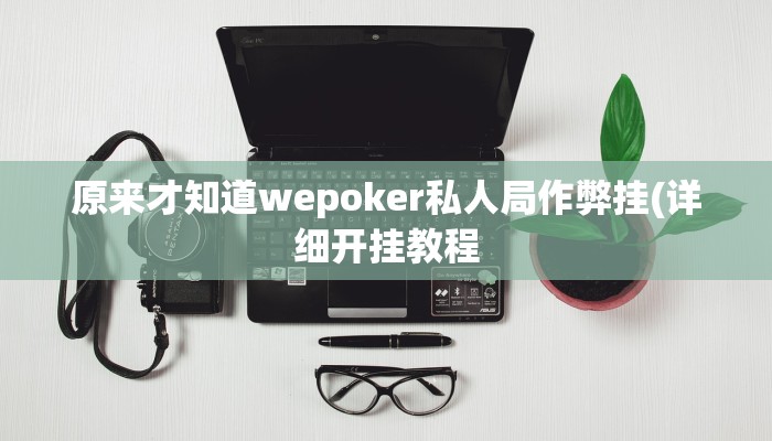 实测辅助德扑之星开挂透视视频(透视)功能”学会包赢