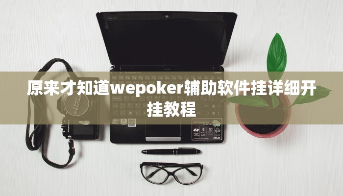 实测辅助德扑之星开挂透视软件(辅助外挂+教程