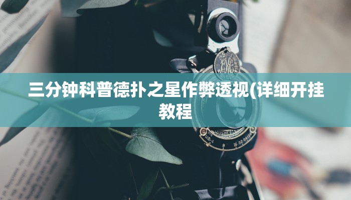 三分钟科普wepoker德州透视(作弊)”附开挂脚本详细教学